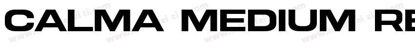 Calma Medium Regular字体转换